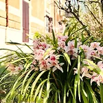 Villa Leonardo